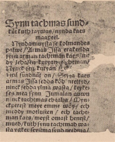 Eestikeelne tekst ja raamat. Juhused ja järjepidevus