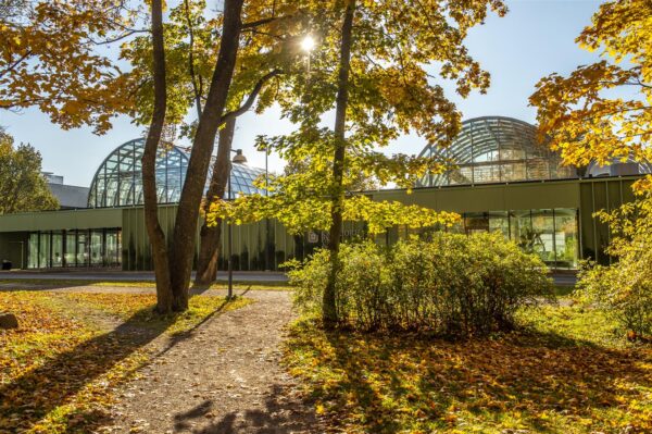 Kadrioru pargi tagala