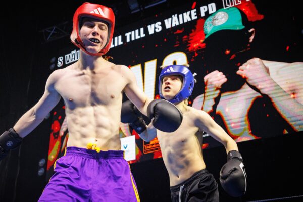 Eesti sõnastamatus 500