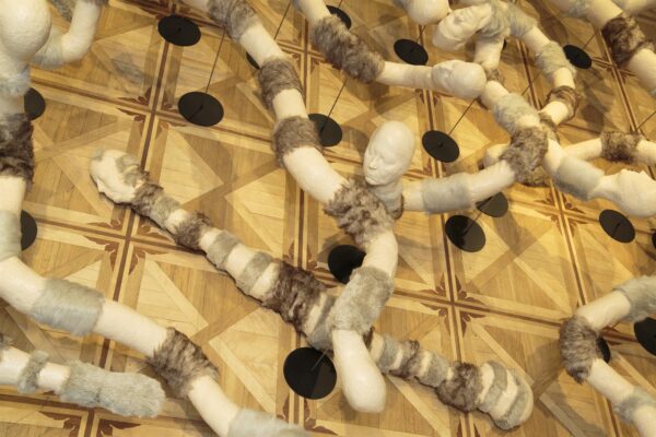 Naine, kes teab ussis&otilde;nu