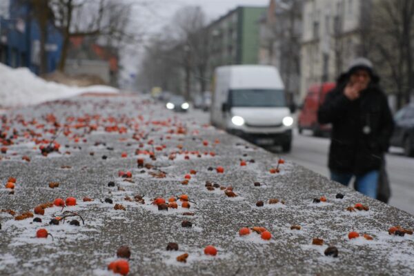 Keskkonnakriis ja tähenduslik elu