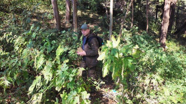 Eesti metsa akadeemiline vardja