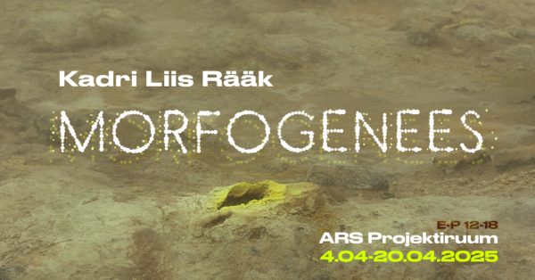 Kadri Liis Räägu näitus „Morfogenees“ ARSi Projektiruumis