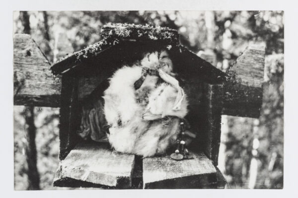 Kuidas soomeugrilaste konte korjati