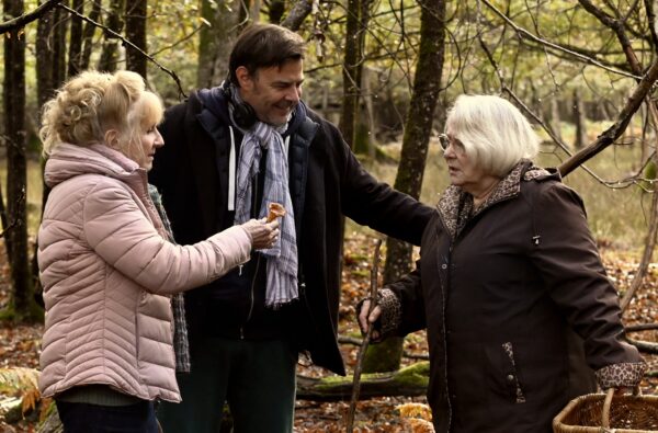 Toksilised suhted ja m&uuml;rgised seened