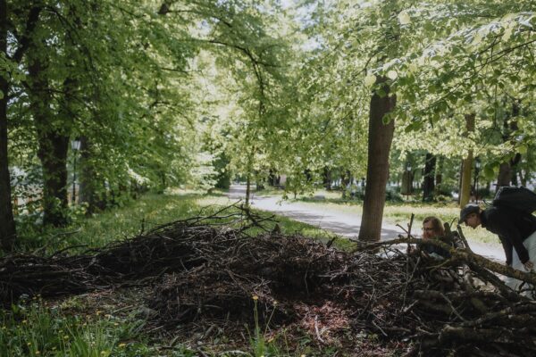 &Auml;ratasuvad kasinusmeetmed