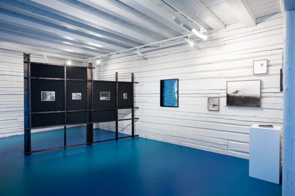 Isegi siis, kui teame, et oleme hiljaks j&auml;&auml;nud