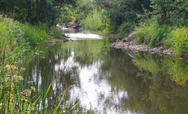 &Uuml;leskutse keskkonnasolidaarsusele