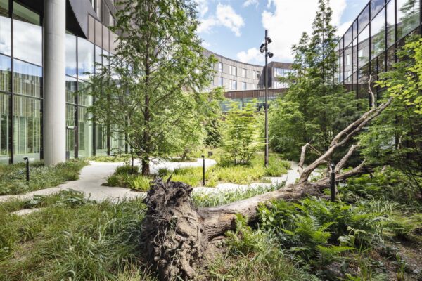 Eesti ruumiloomesse on vaja uut tasakaalu