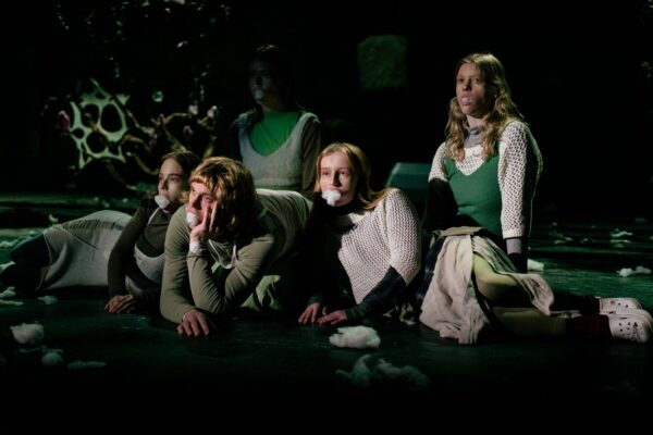 Viljandi pakub muudki peale folgi