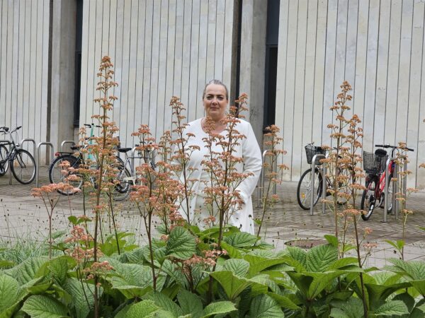 „Vabakutseliste huvikaitse on lihtsalt üks väga suur auk, mis vajab siiani kinni nõelumist.“