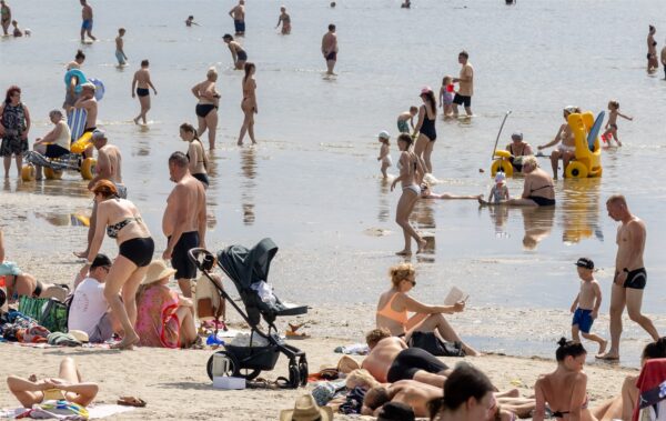 Tehisarule on prille vaja, Eesti prille