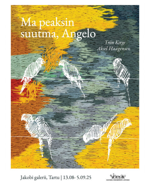 Triin Kerge ja Aksel Haagenseni näitus Jakobi galeriis