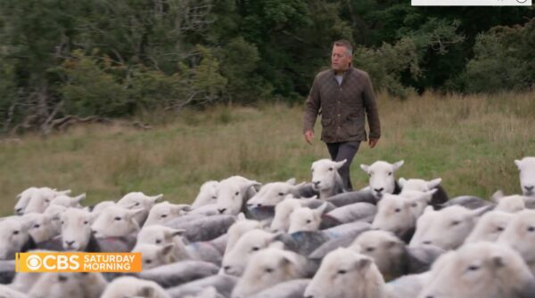 Sisyphose naer läbi pisarate