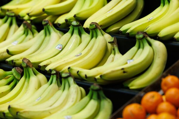 Riigi k&auml;si leivap&auml;tsis