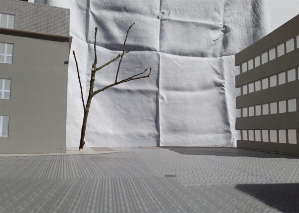 Linn tundlikule meelele