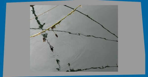 Reet Varblase mälestusele pühendatud näitus Vabaduse galeriis