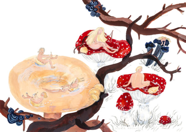 „Mükoloogia ehk seente salajane elu” Eesti Lastekirjanduse Keskuses