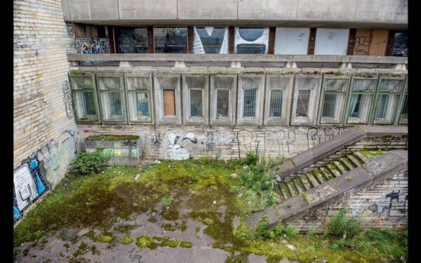 Unistus metsikust linnast