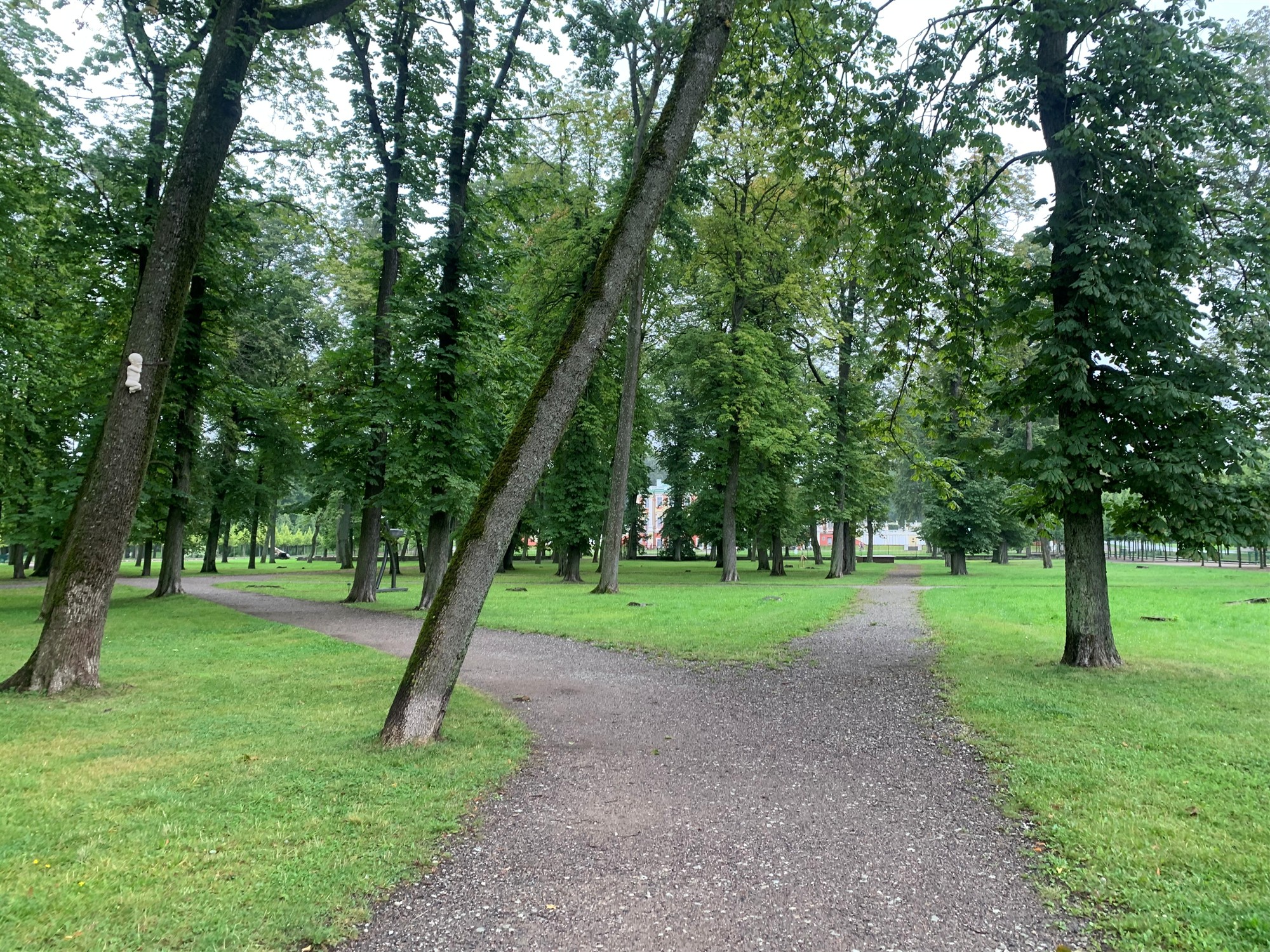 Kui vanalt hakkavad puud inimesega kõnelema?