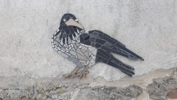 Linna linnukooslus &ndash; kuidas see meid puudutab?