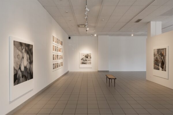 Unustusse hajuvate seepiafiguuride anon&uuml;&uuml;mne maailm