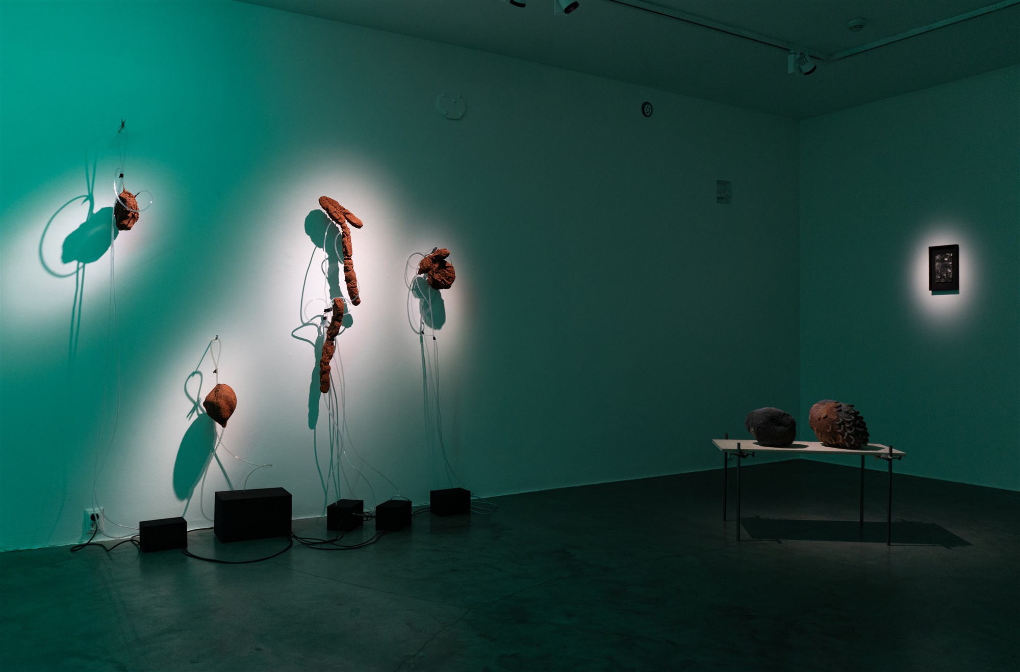 Kui kohtuvad kunst ja teadus