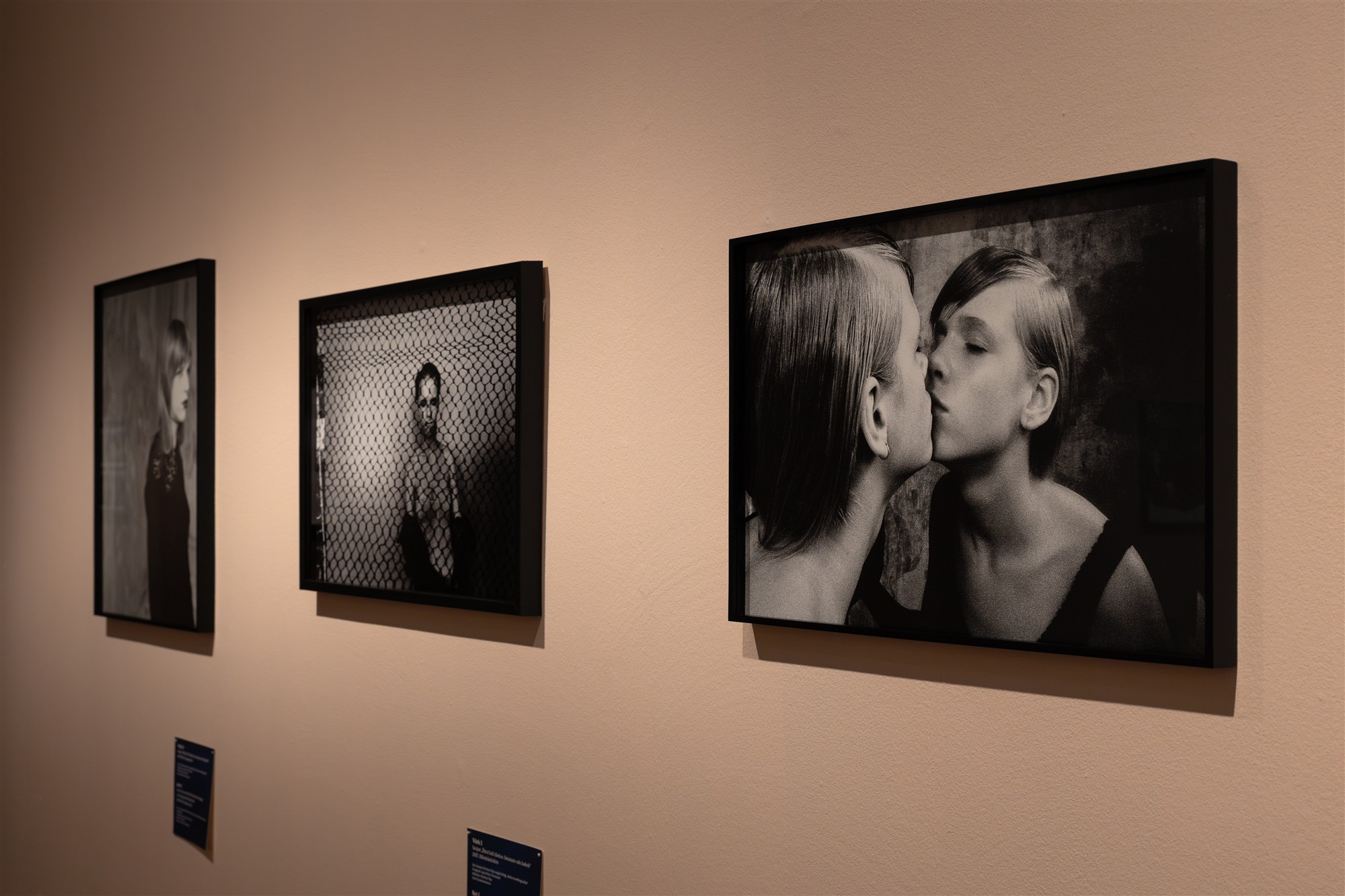 Kevadekuulutaja tagasitulek