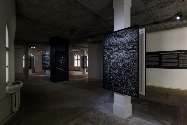 Millest on tehtud kustunud valgus?