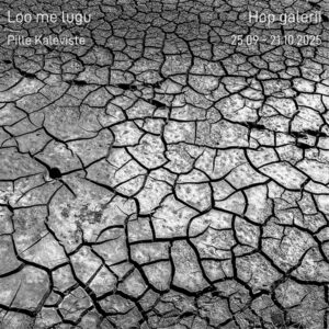 Pille Kaleviste näitus „Loo me lugu“ Hop galeriis