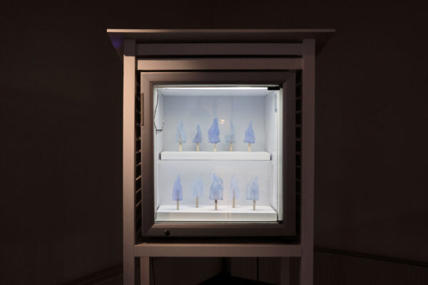 Taavi Suisalu Tartu Kunstimajas