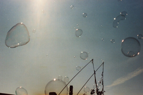 Anna-Liisa Kree näitus „Suvi on vaid meeleseisund”