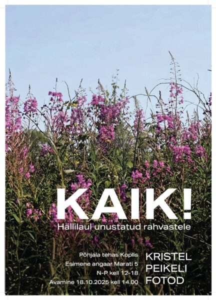 Fotonäitus KAIK! küsib hõimupäeval, kas Eesti keel ja kultuur on hoitud?