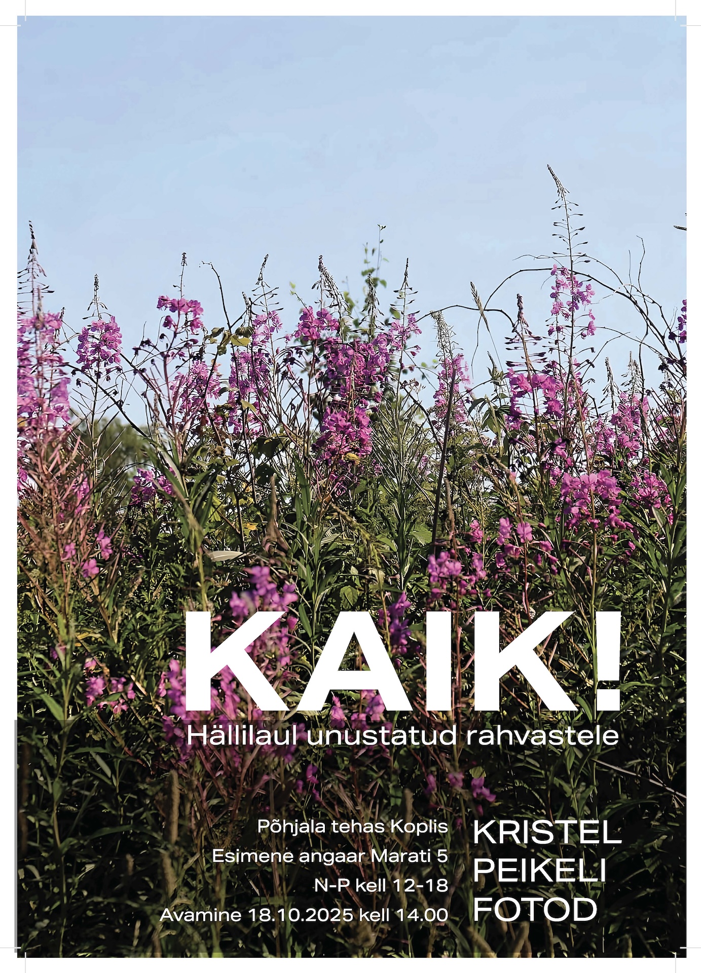 Fotonäitus KAIK! küsib hõimupäeval, kas Eesti keel ja kultuur on hoitud?