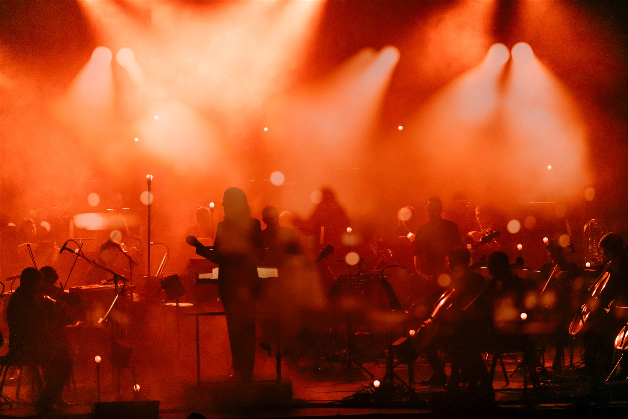 Roos on roos on roos