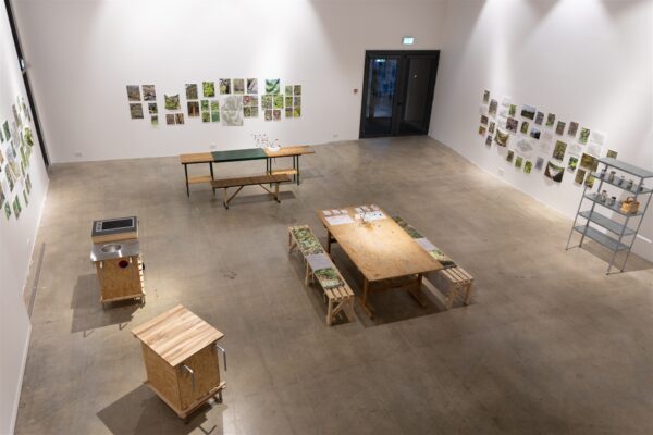 Ei j&otilde;ua vilju kokku korjata