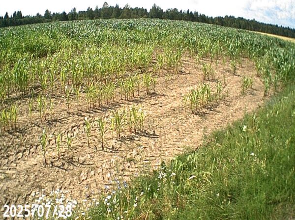 Maa kliima sõltub mullast