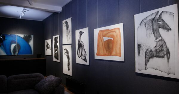 Kui sundimatuks annab kunstis minna?