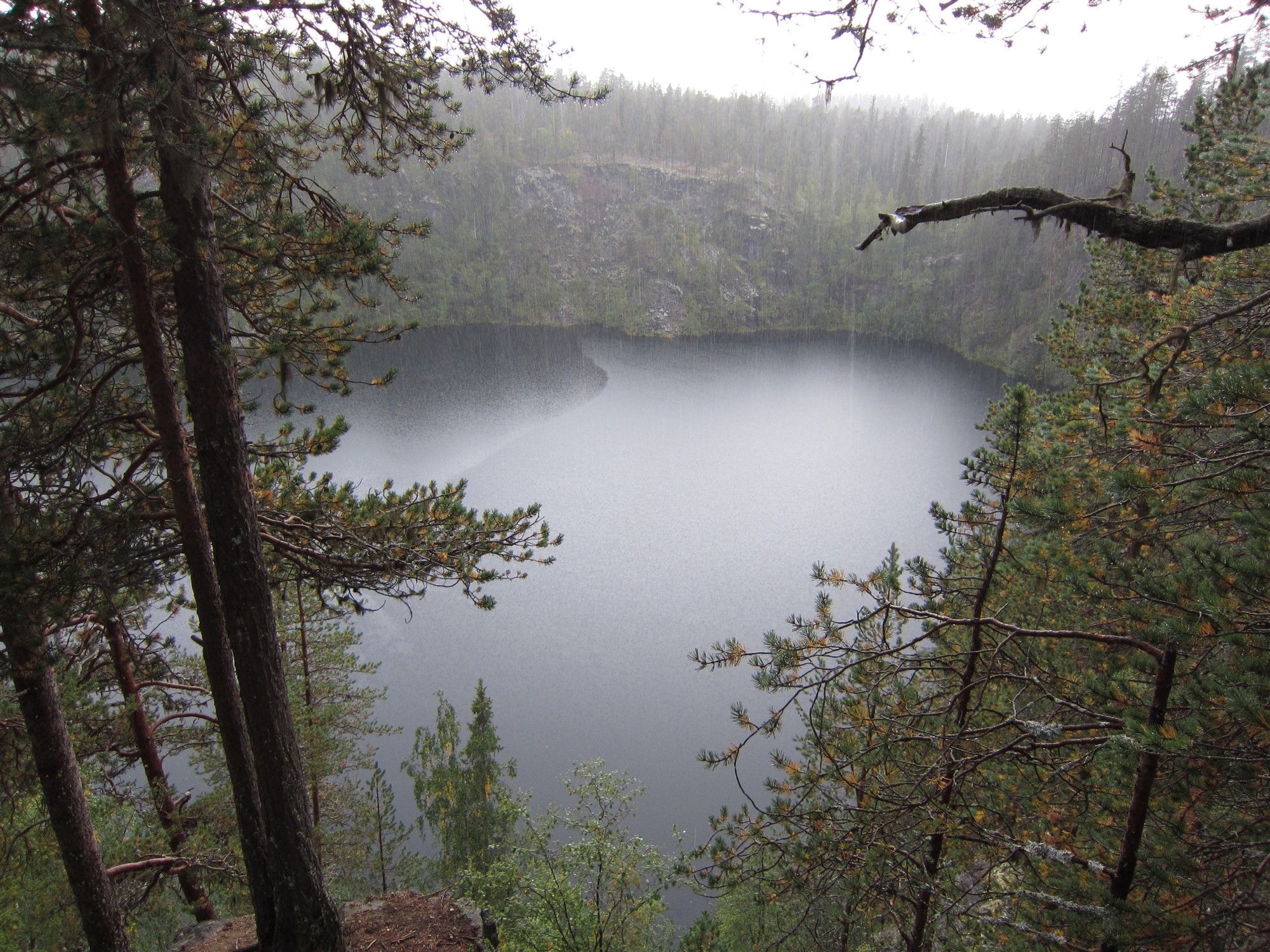 Metsa&uuml;ksiklased ehk &Uuml;ksindusest v&auml;ljap&auml;&auml;s on v&auml;ljap&auml;&auml;s loodusesse