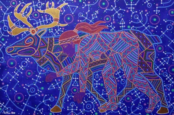 Komi põdrad ja põhjapõdrad