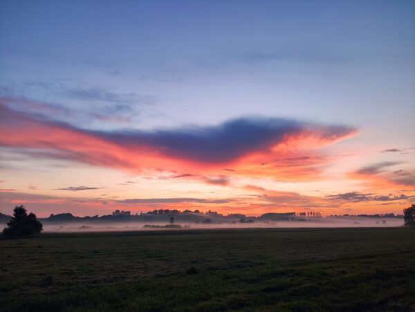 Looduse õiguste olukord Eestis