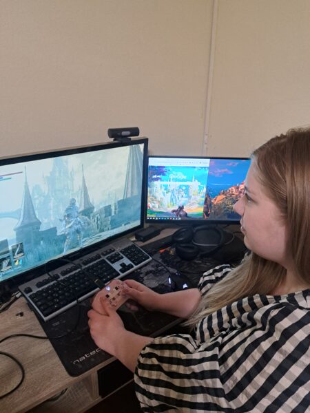 Minu m&auml;ng&nbsp;