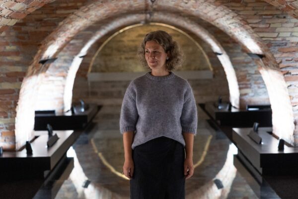 Üle lävepaku meelitaja