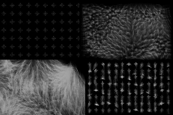 Ketlin Kuusingu ja Sten Saaritsa „Kõige kanduva teed“ Hop galeriis