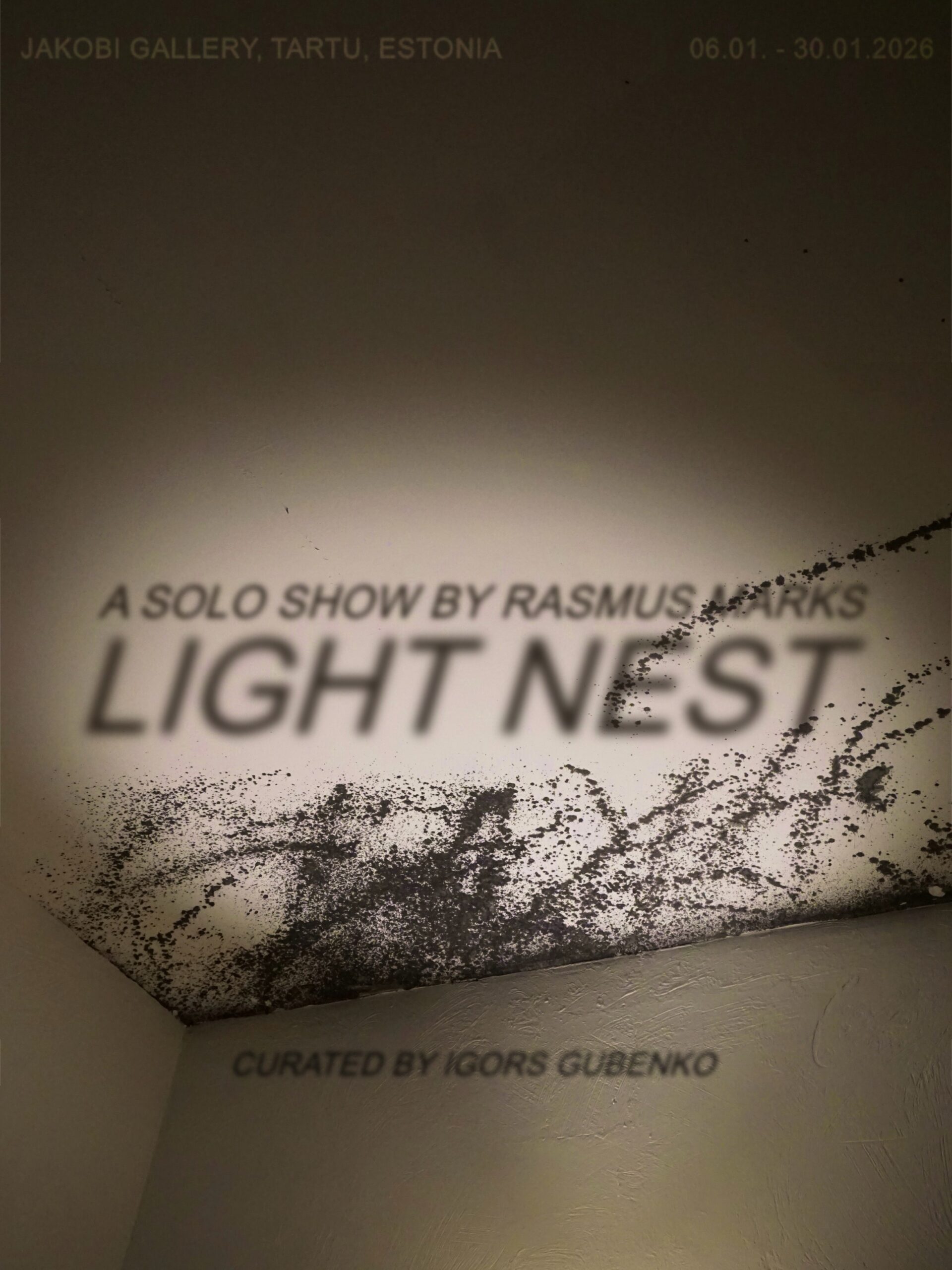 Rasmus Marksi näitus „Valguspesa“ Jakobi galeriis