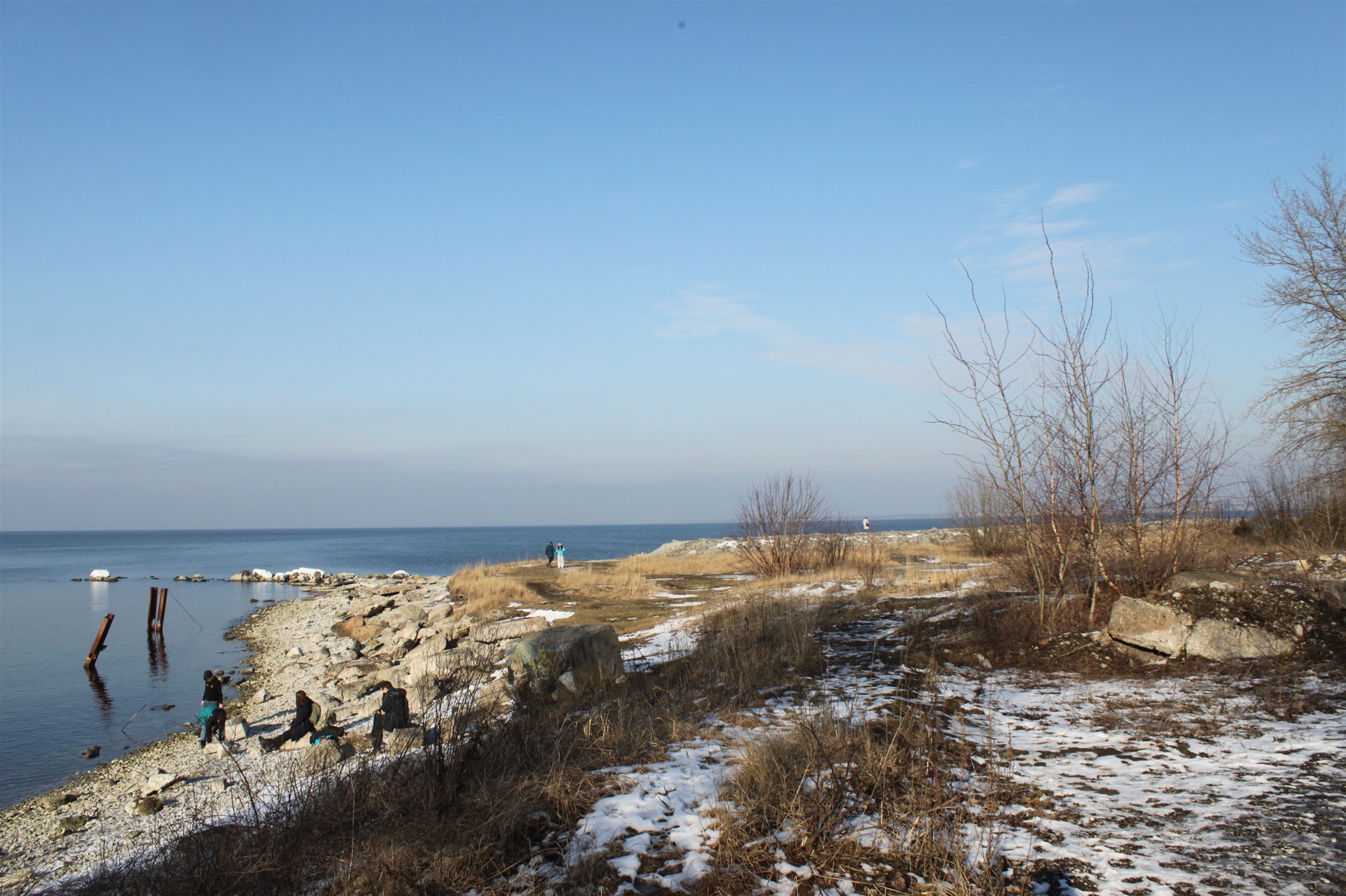 Rohkem metsikut ruumi!