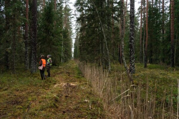 Soodest ja nende taastamisest, kujundlikult
