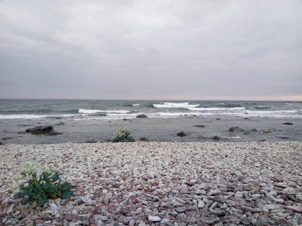 K&otilde;ik me kanname endas mere m&auml;rke