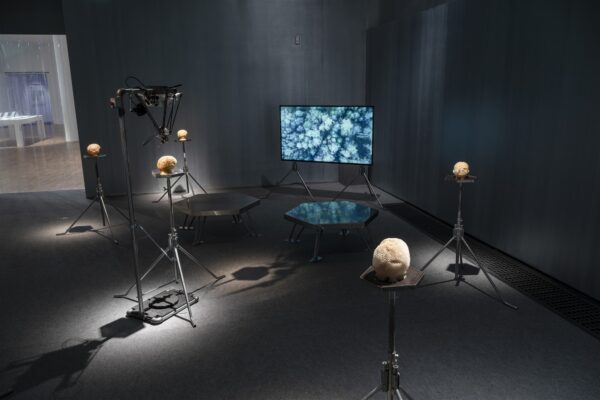 Pisarad kaotatud kujutlusvõime ajastul