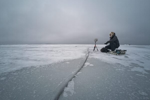 John Grzinich Tartu Kunstimajas
